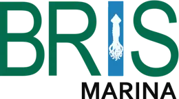 Bris Marina