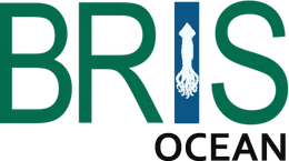 Bris Ocean