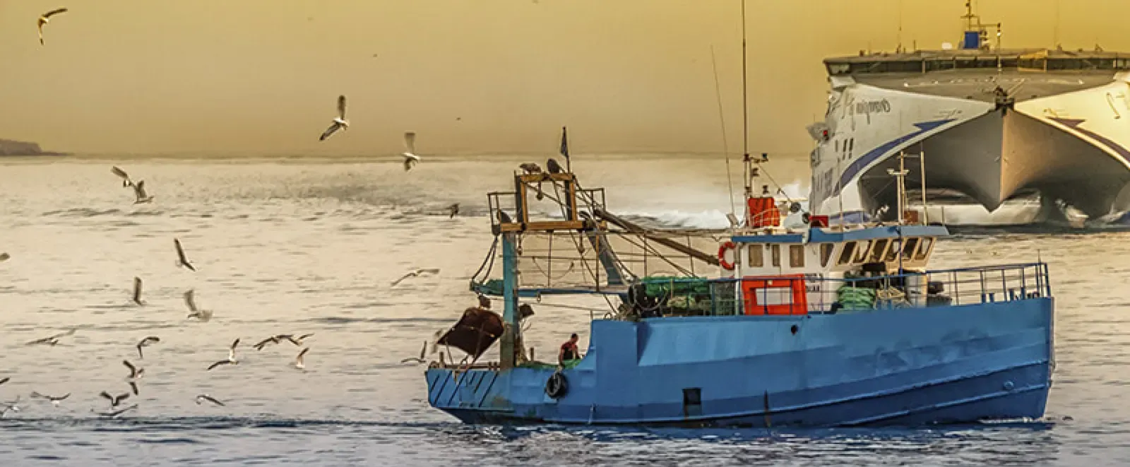 Embarcación de la flota frente al litoral