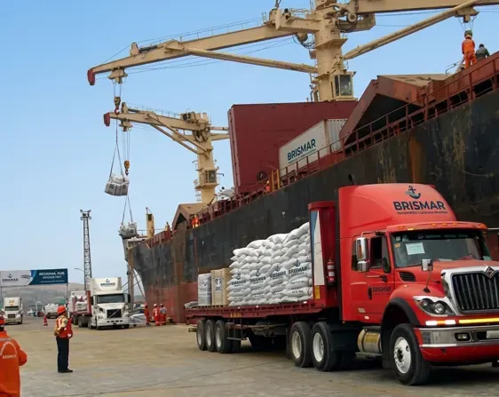 Grúa cargando contenedores en puerto
